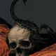 blashyrkhh