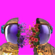 BrainSponk
