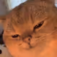 ThurDev