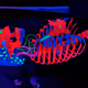 2303023.eth