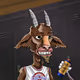 therealSirGoose