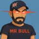 0xMrBull