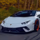 Cryptopiy_