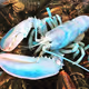 Teal_toned_lobsta