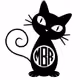 I_am_Curious_cat