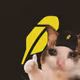 SadCat_dev
