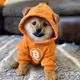 DOG_to_the_moon