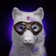 WildCryptoBull