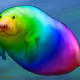 Insmanatee