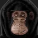Apes_N