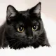 philip47