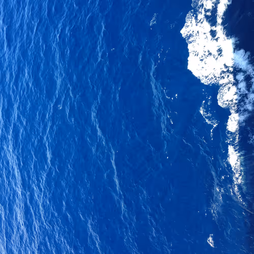 OpenSea banner for @discoveries