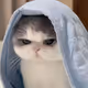 0xcc638b26e180eef8d0deca6e6bfae2c76a8d71f8
