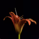 ReinholdMaas_privat