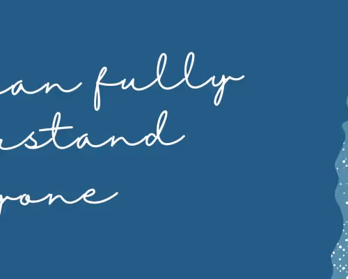 OpenSea banner for @ridiculously