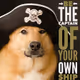 capndawg