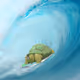 surfpunk71