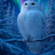 SantaMon
