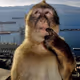MANKEYB