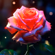 Vikash2211