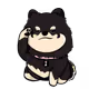 sirgoolee