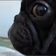 OCTOHANDS