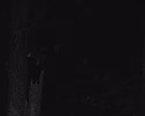 OpenSea banner for @Sunless
