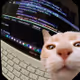 0xPishi