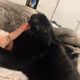 bigfootjinxlover