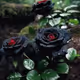 Panorama_beautiful