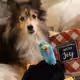 Puppyiscute