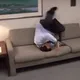 excusemewtf
