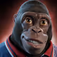 DjesevOGKINGS