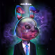 Lazy_Bunny_Vault