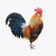 chicken57