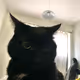 Micahnotfound