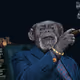 cryptosnob13