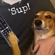 PootronZero