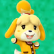blazin9723