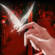 silver_butterflies