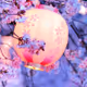 Princess_JF