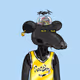 seattlesonics