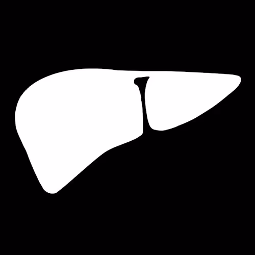 OpenSea profile picture for @Liver