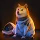 wearedoge
