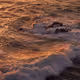 publicdmnvenus