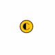 c_coin