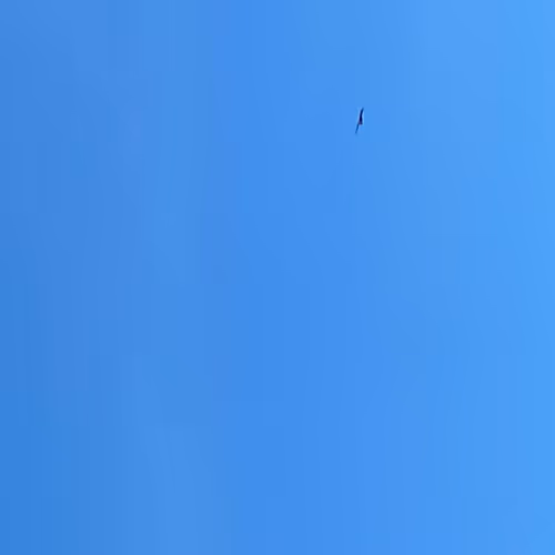 OpenSea banner for @rested