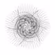 1TO1000ETH