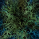 PAGESVFX_AR