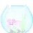 _taro